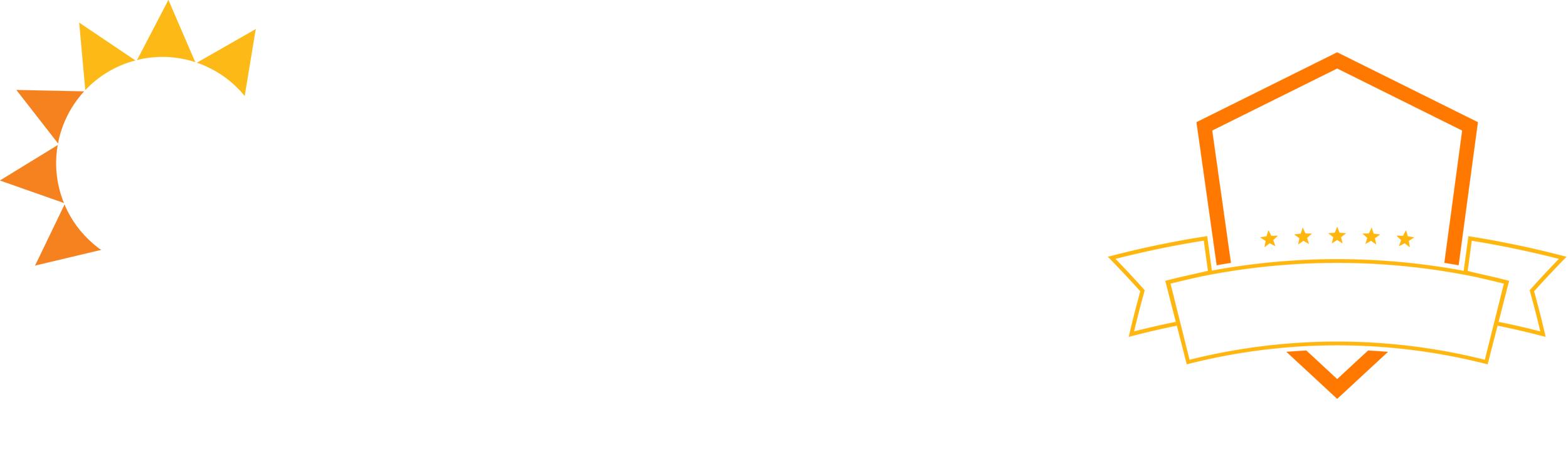 Renu Energy Solutions